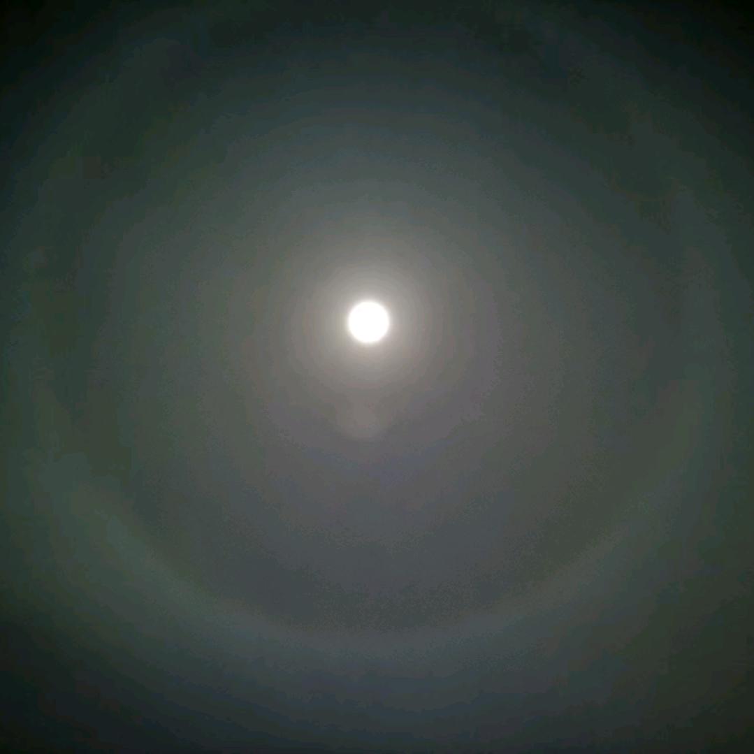 🥁骑着蜗牛去逛街👑.⁷