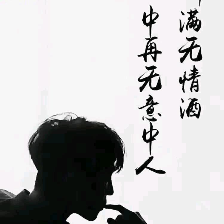 ㅤㅤ皓月ㅤㅤㅤꫛ℘℘ꫀꪄꪶ
