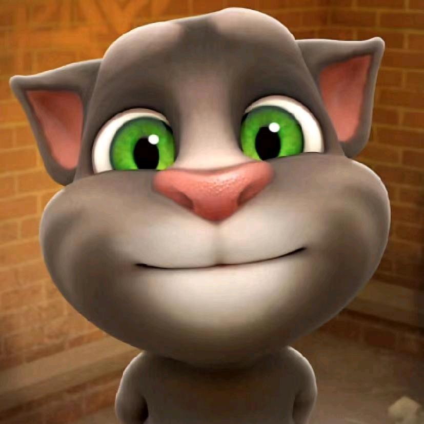 汤姆猫