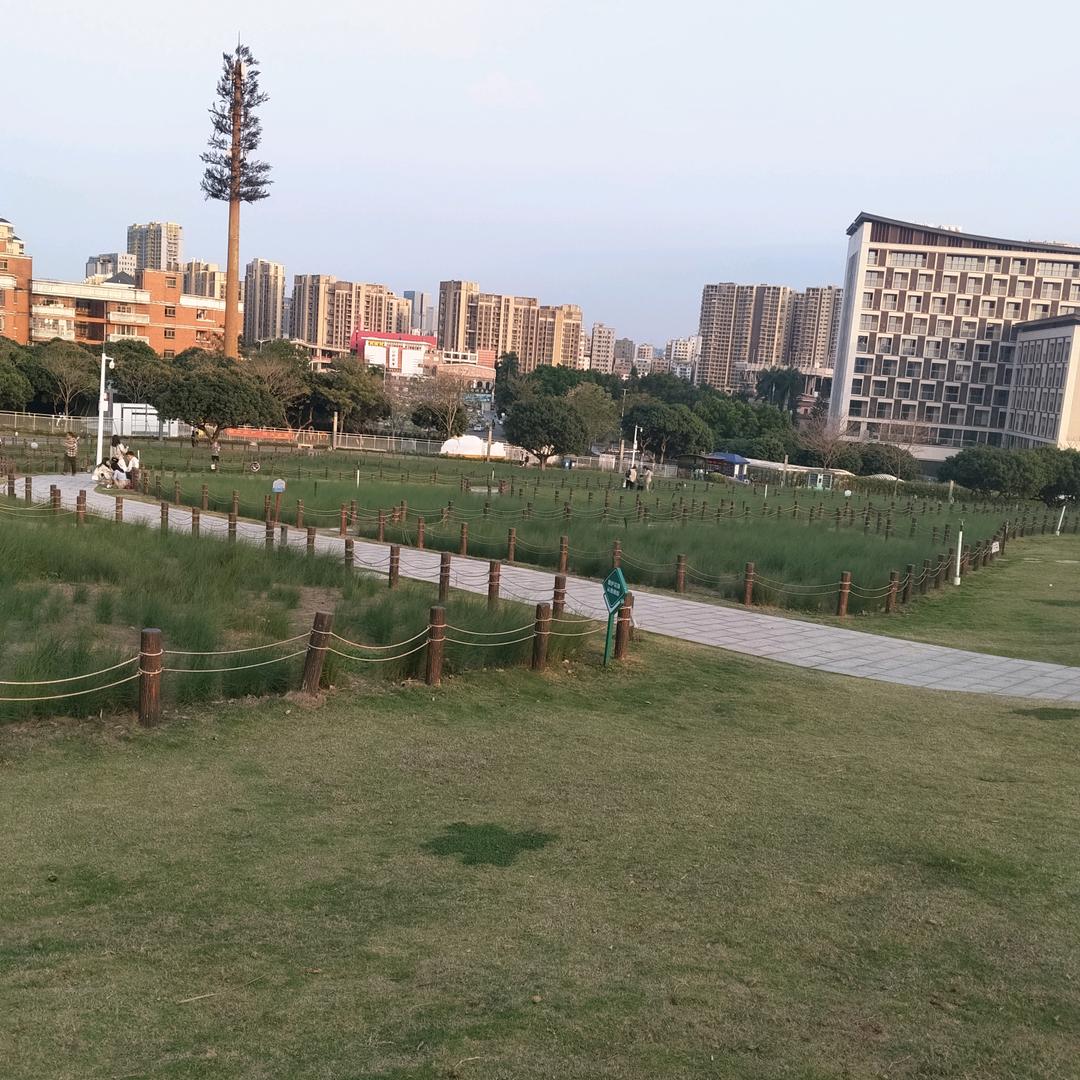 梦里有你