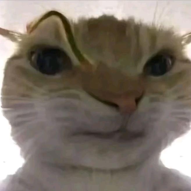 哈基疯1号（三脚州纯绿）