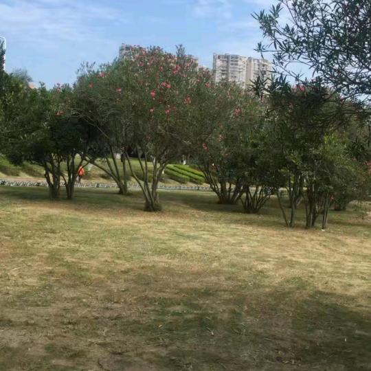 蓝蓝的天空，