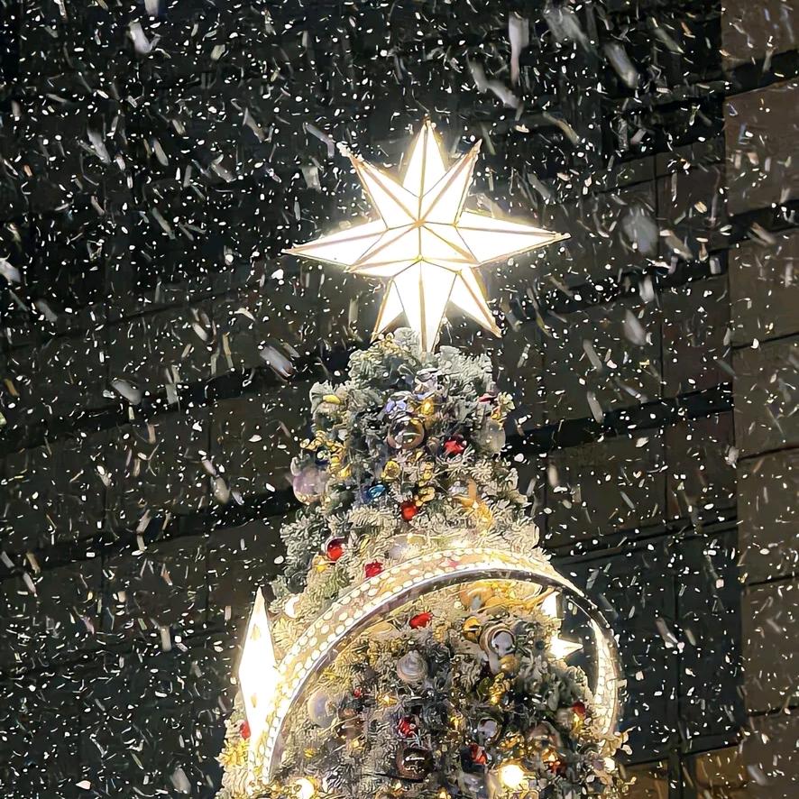 猪是的念来过倒