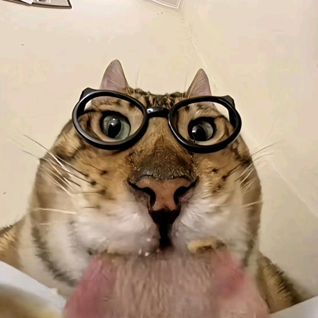 y！