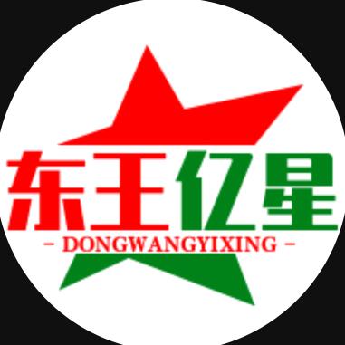东王亿星