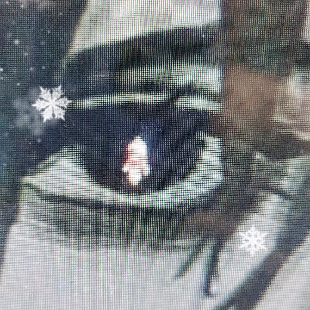 胡来
