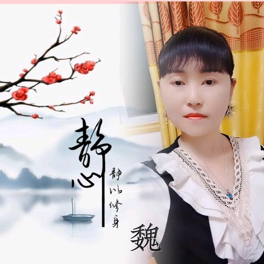 魏小妹