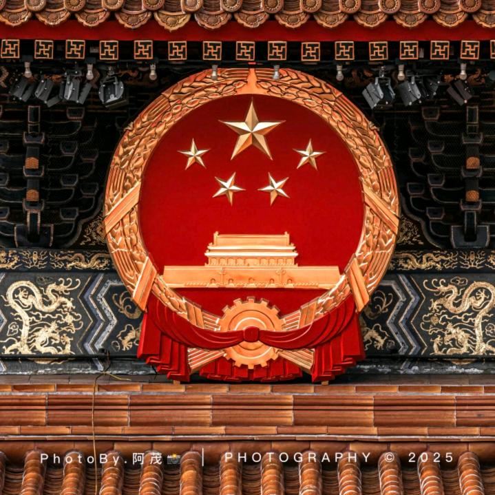 乐在其中的傻子