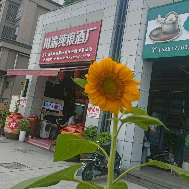 阆中川渝徐氏纯粮食酒厂🍸