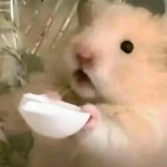 栗子（永劫无间）