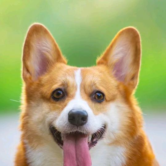 你好像是个狠人啊