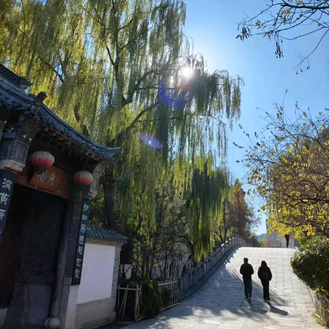 阿～小新新🚘🚘