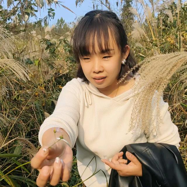 可爱又暴躁的多肉