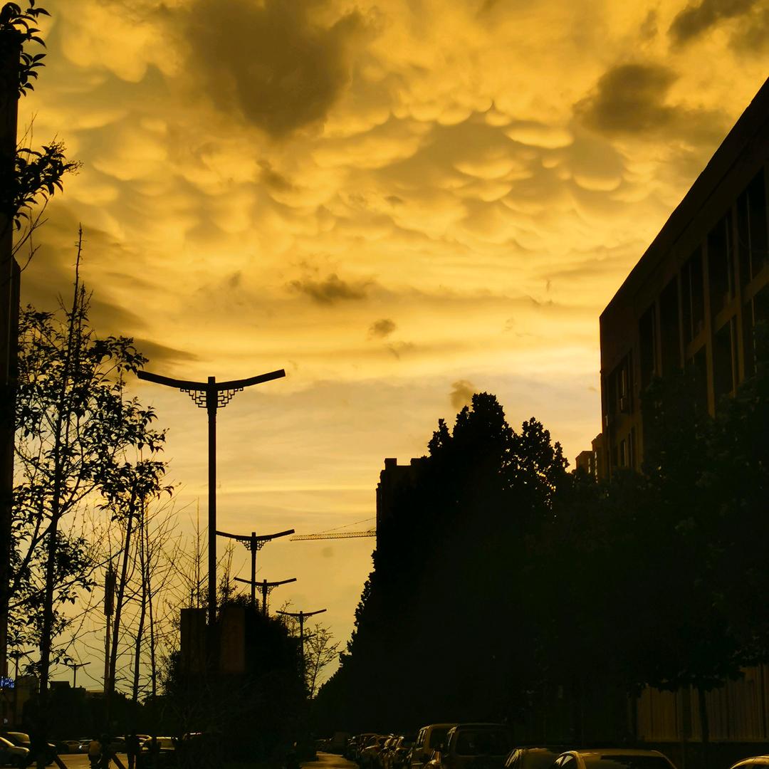 励烜网络贾静毅