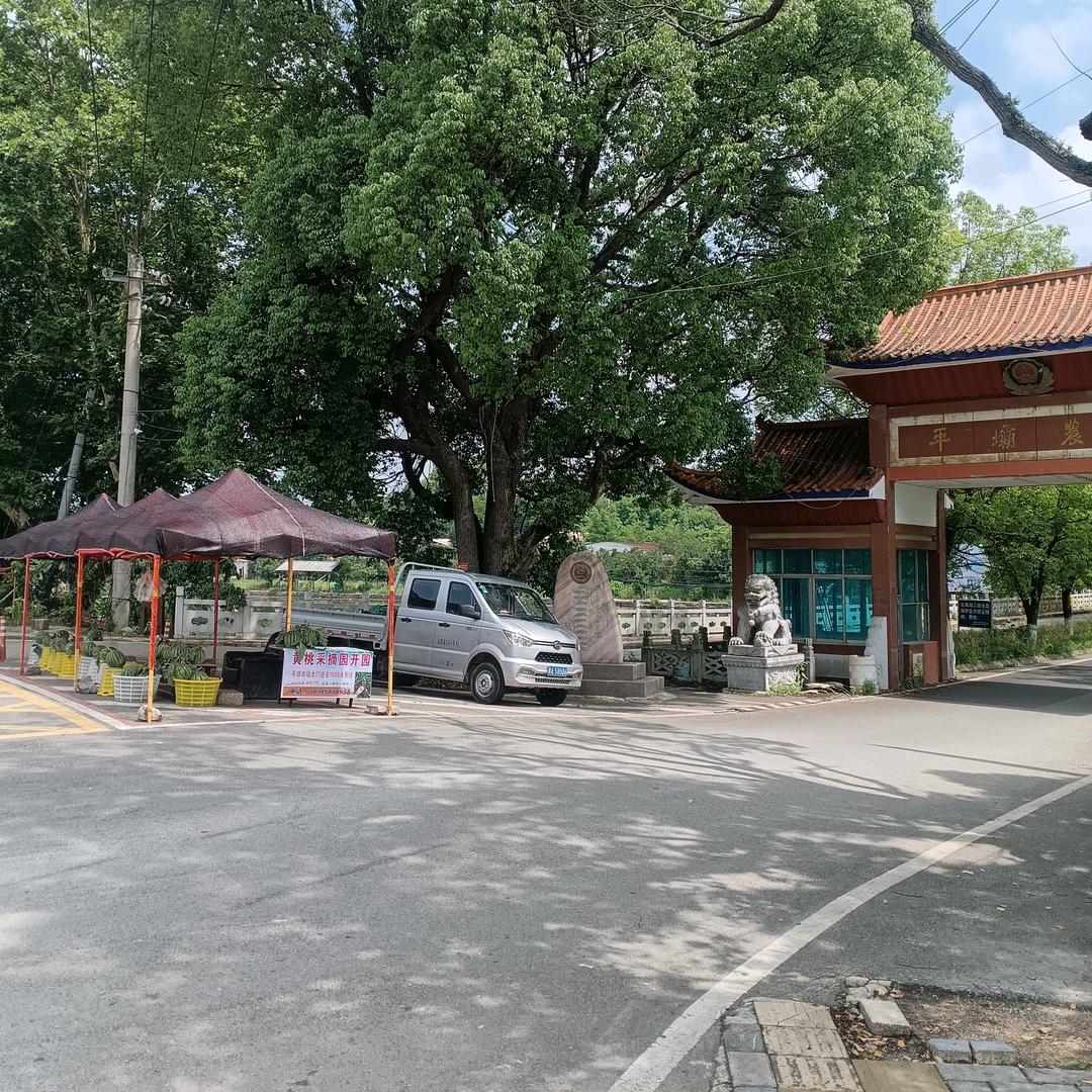 平坝农场大门口，葡萄西瓜自种批发点