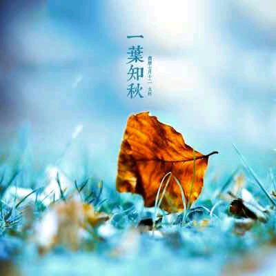 一叶🍂知秋🍁