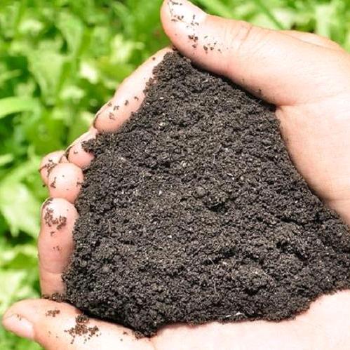 安阳洹哲农业科技有限公司