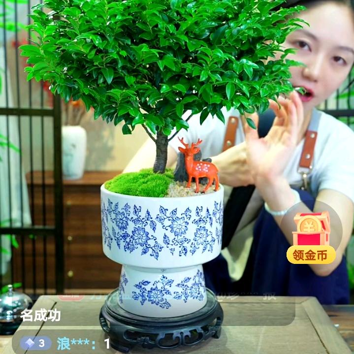 美好生活
