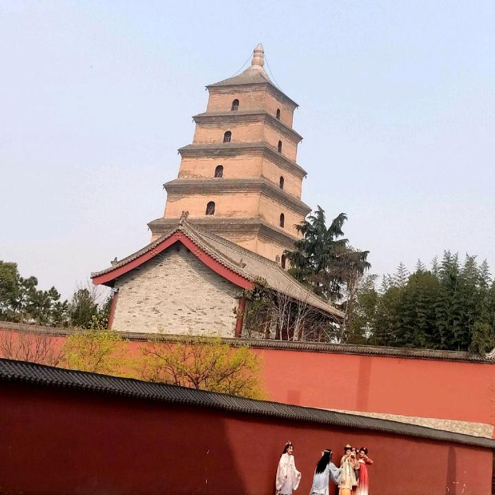 情归何处
