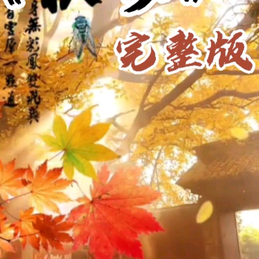 花谢花🌸花🌸满天，
