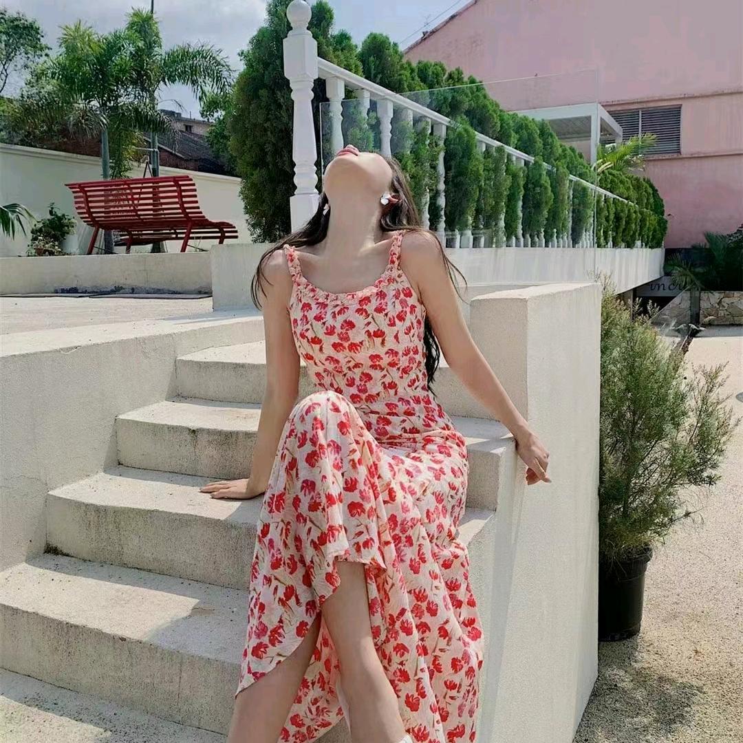 李草草