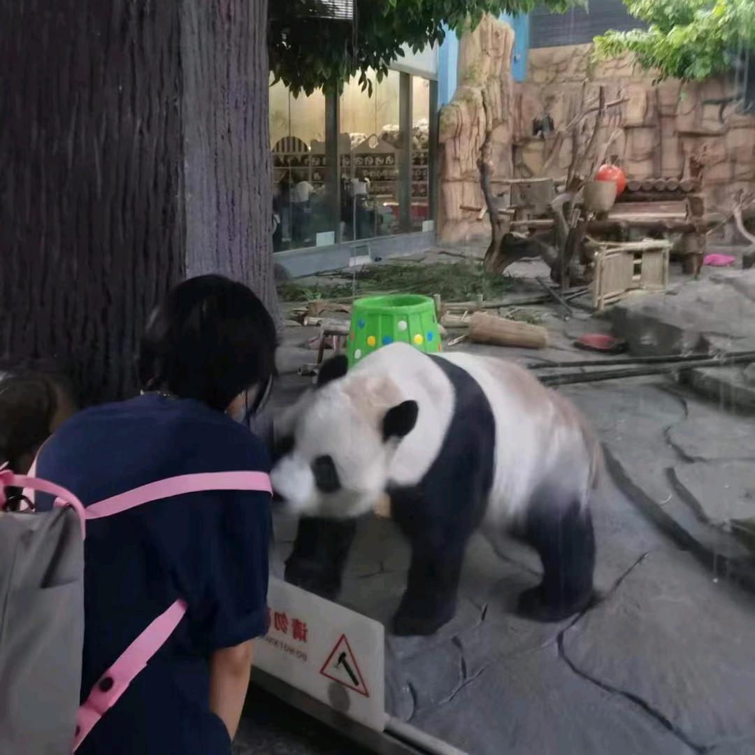 记得忘记她