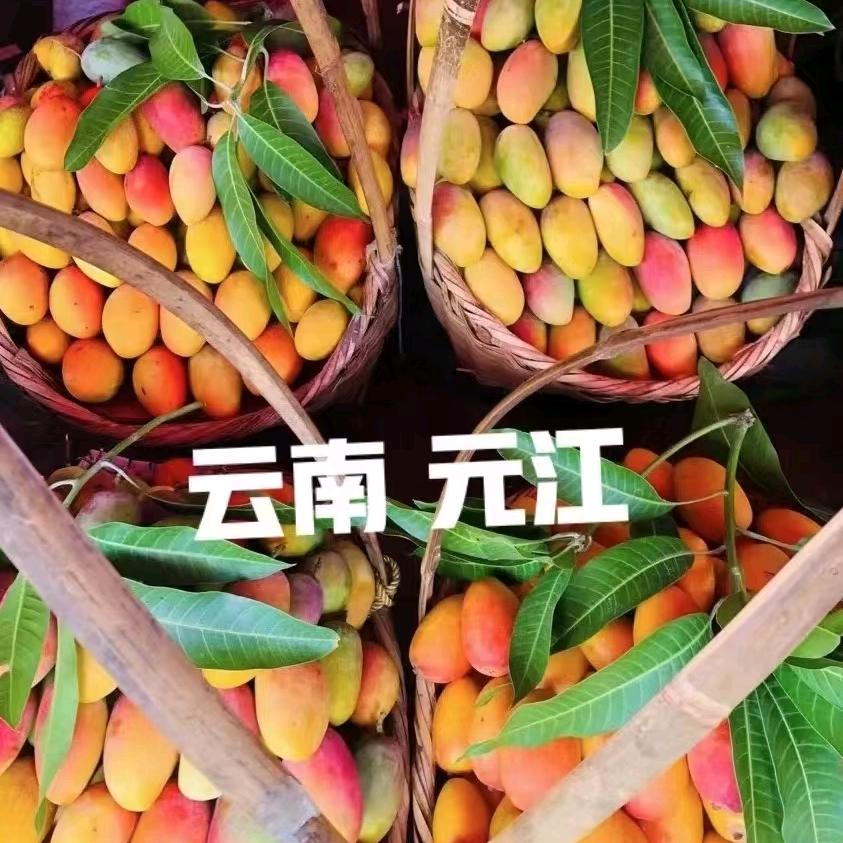 危险丈夫《生活给了我希望，确让