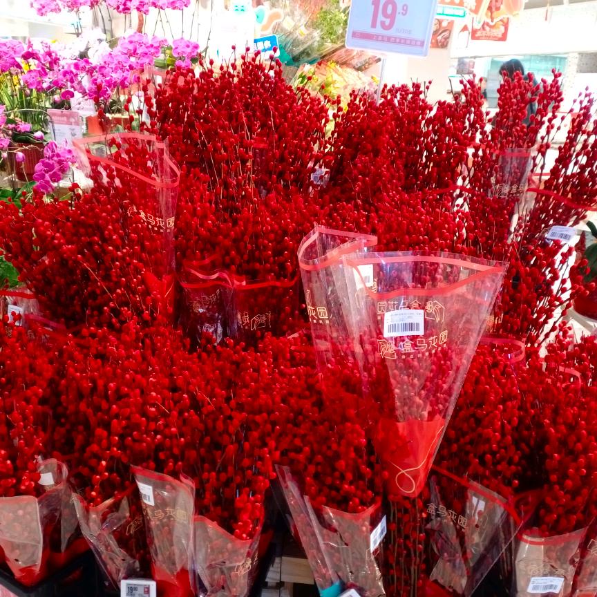 下马举杯敬红尘