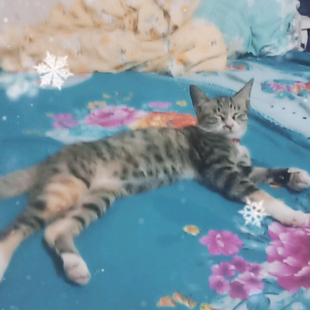 用户姐飞子好心人