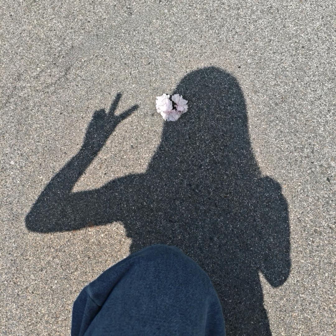 芋泥啵啵