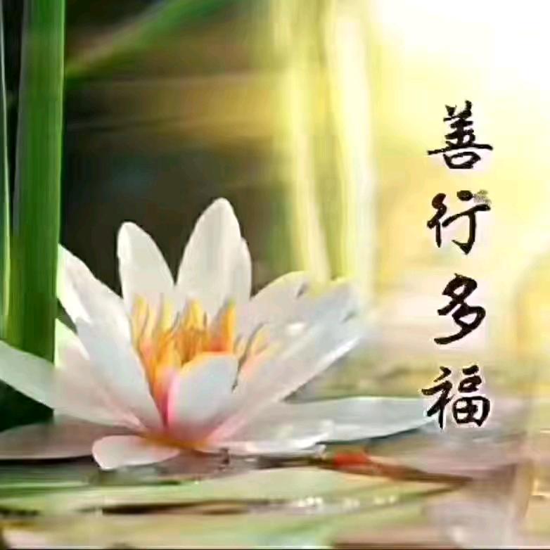 知足常乐_善行多福
