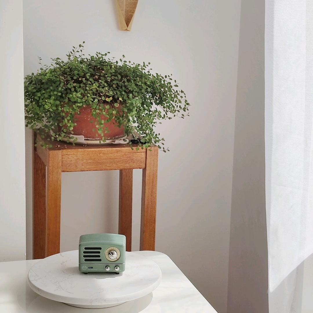 爱做蛋糕的维维安