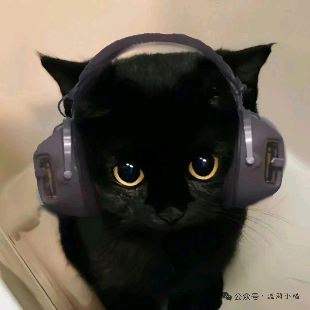 AC.桃若宁.🍊