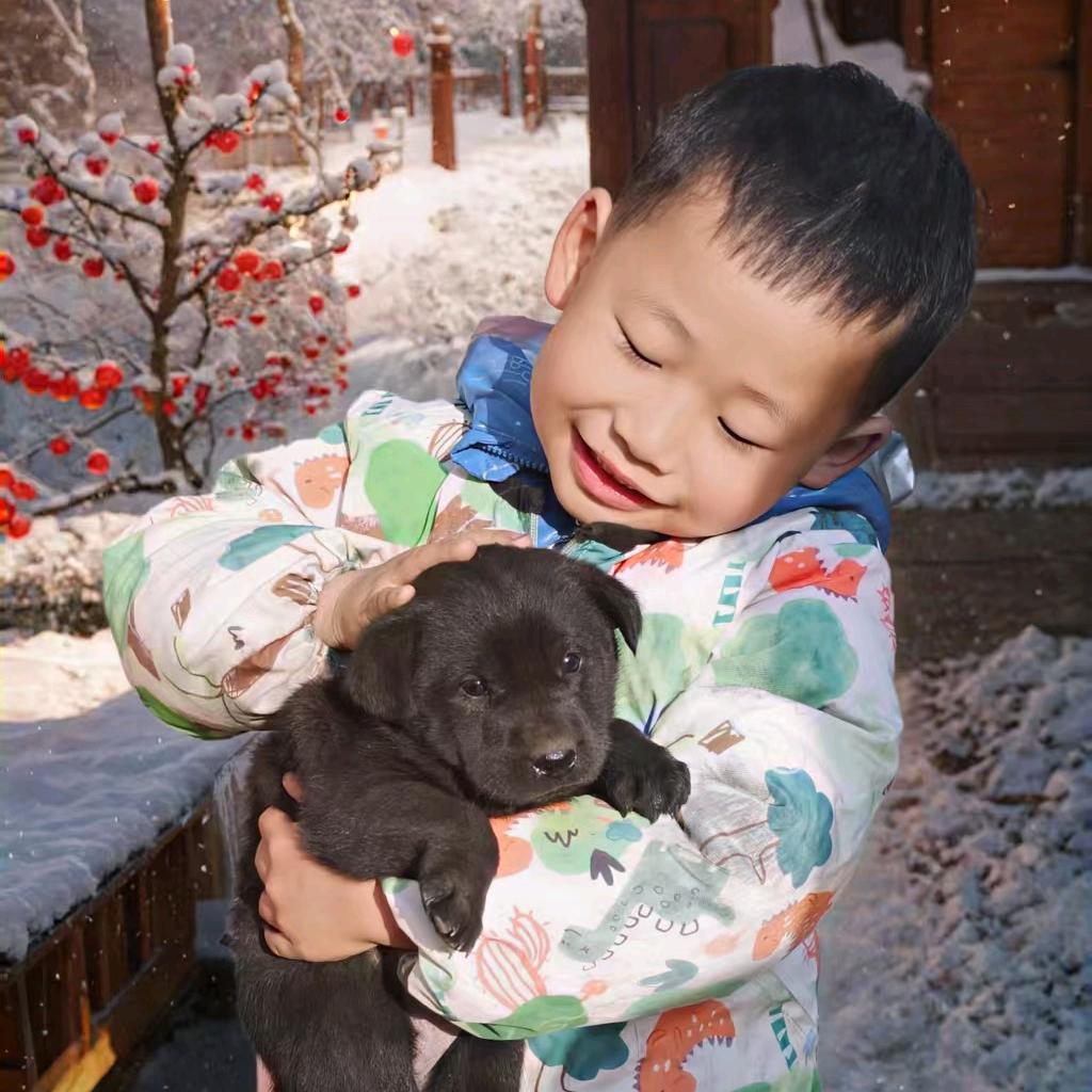 🌈*******雪****