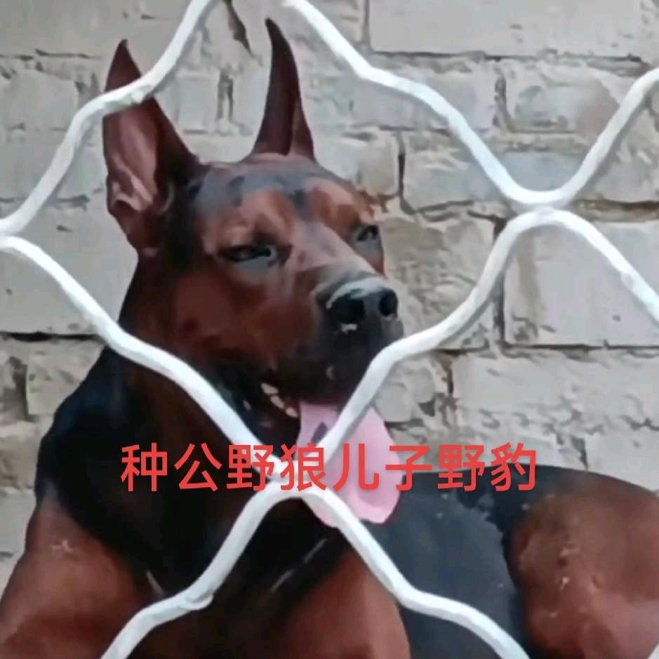 心想事成，888
