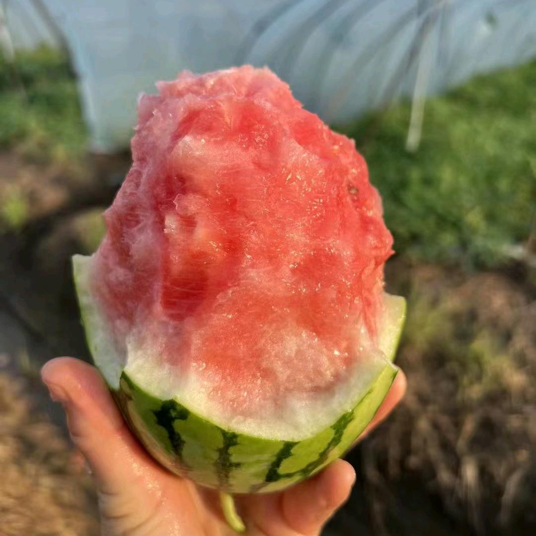 甜甜的西瓜🍉