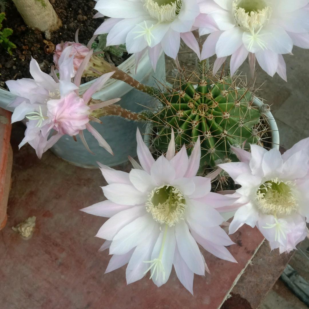 往事清零,从新开始