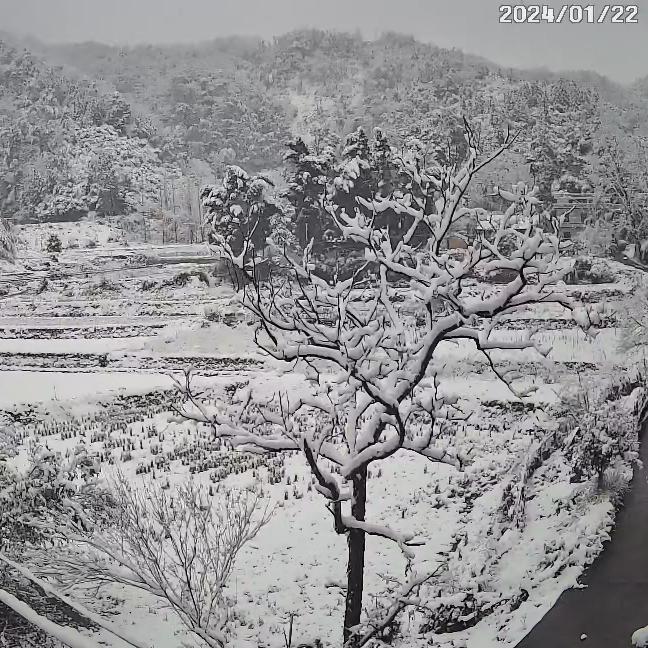 捌贰欧阳头像