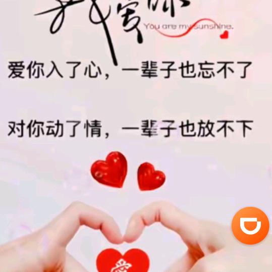 风雨彩虹