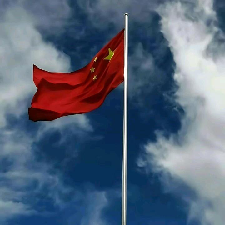 君诚乐器小毛孩