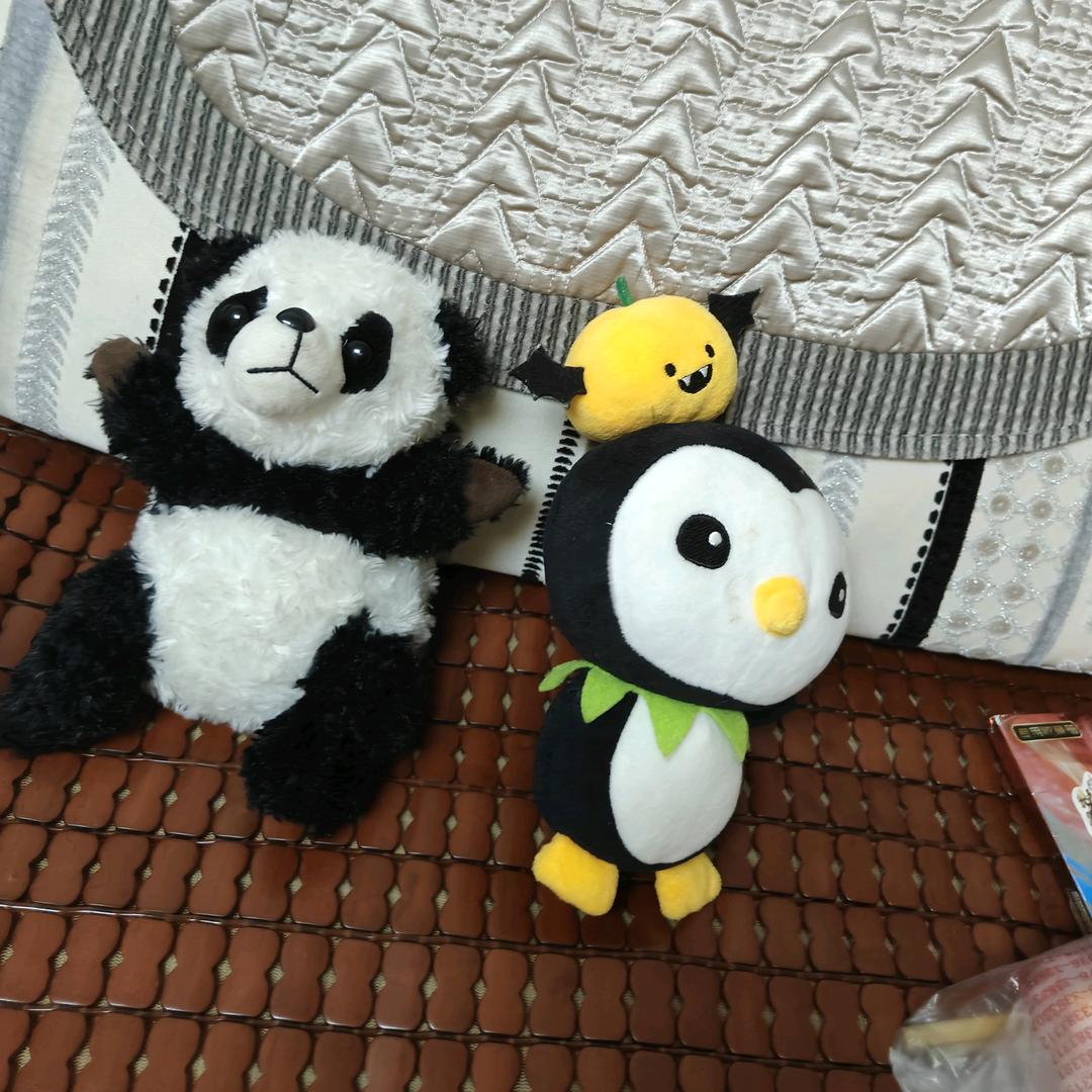 信阳小飞象十年育婴师欢欢