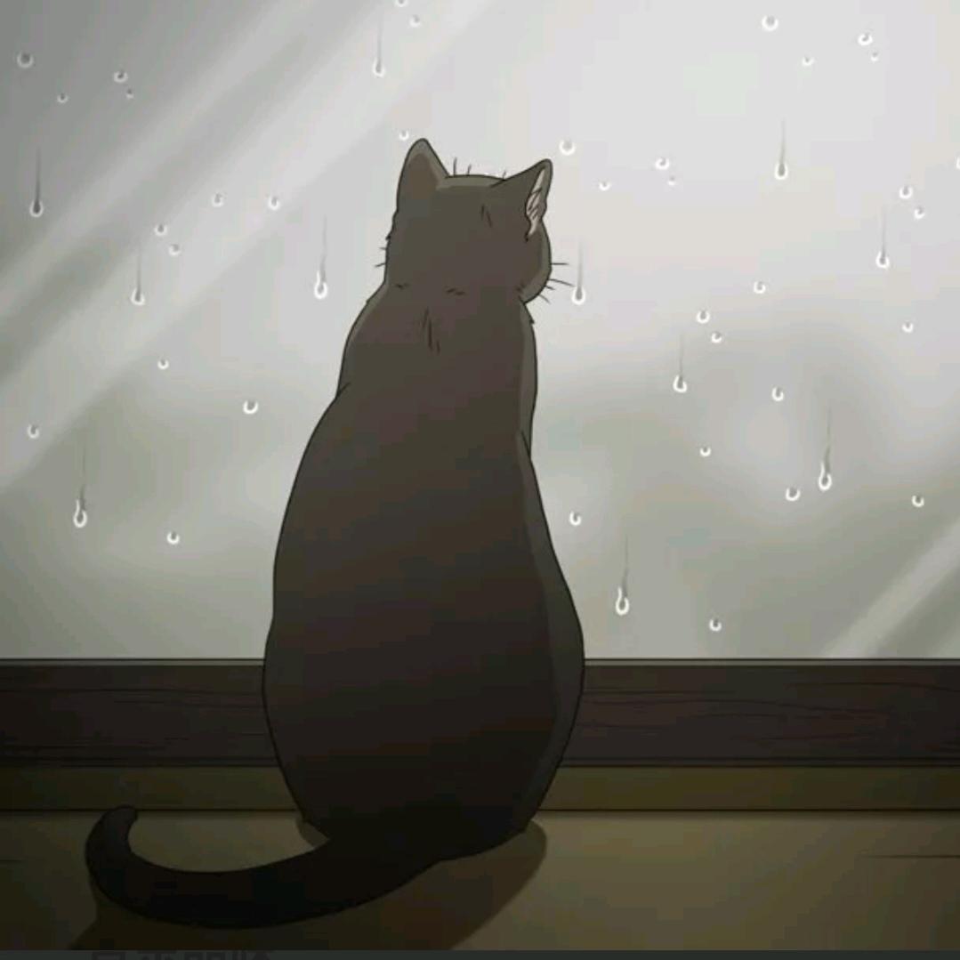 不如诗啊