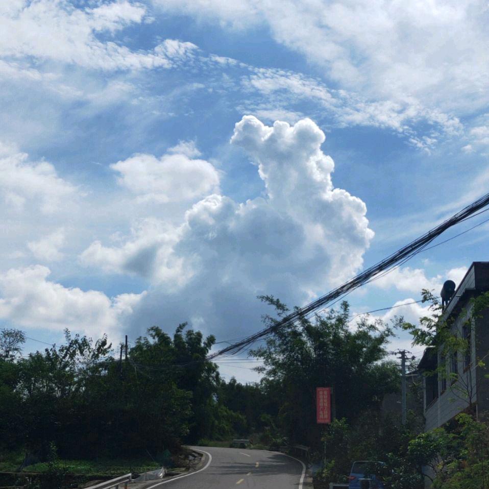 劳动者