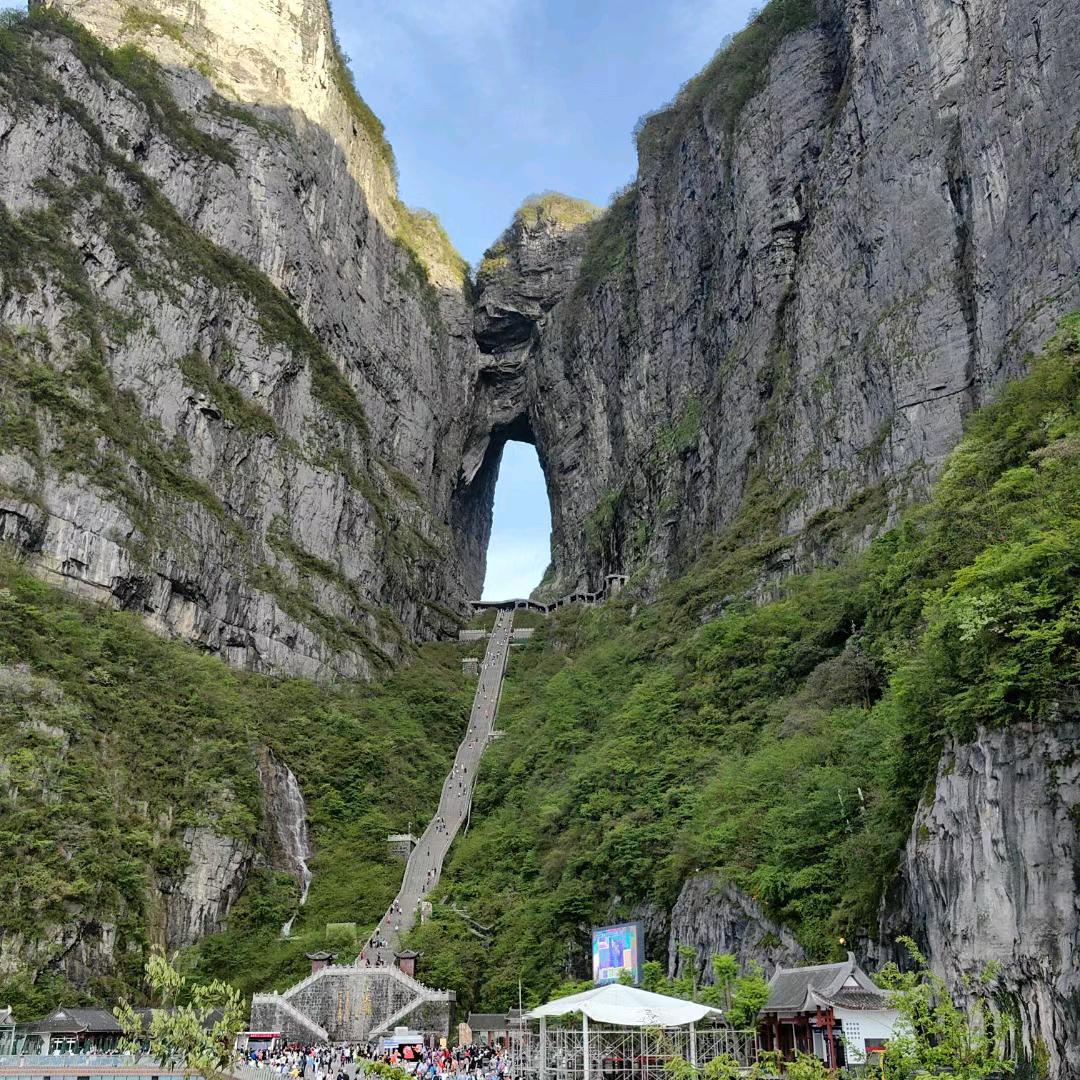 曾庆冬
