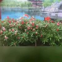 用户4225858233876好上加好