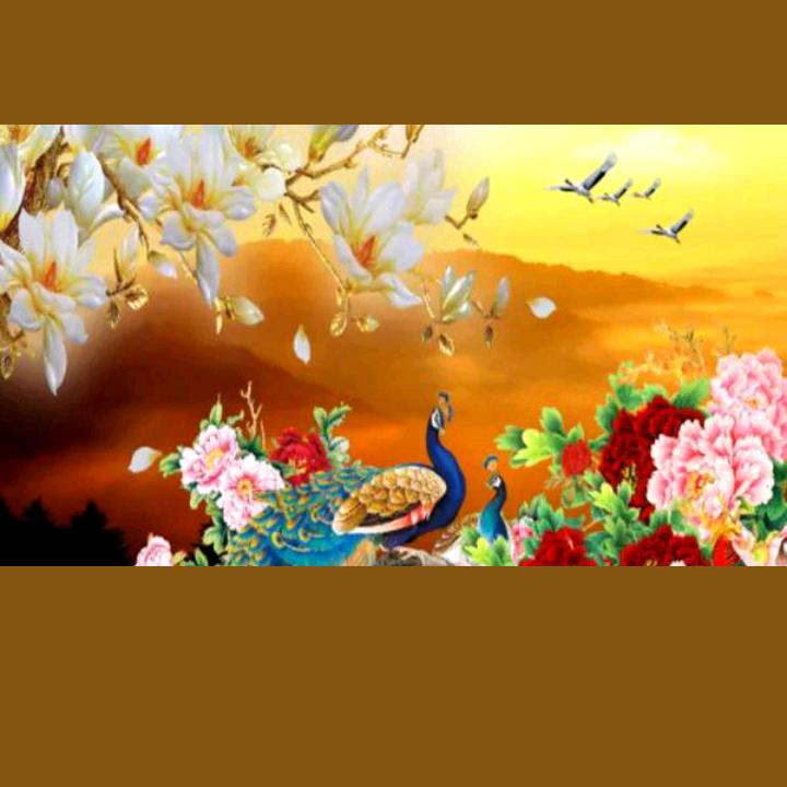 (❁´◡`好运随身❁)*✲ﾟ*