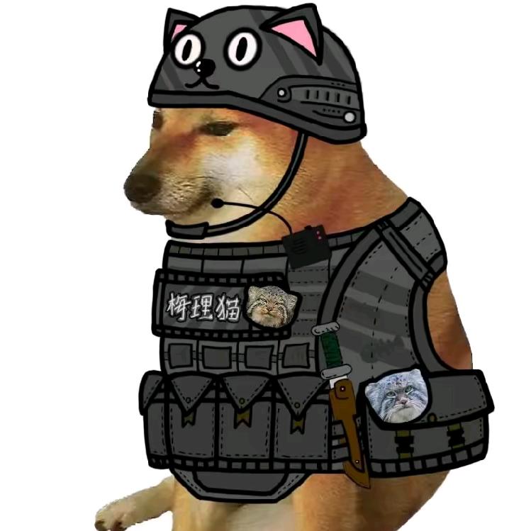 暗区梅理猫