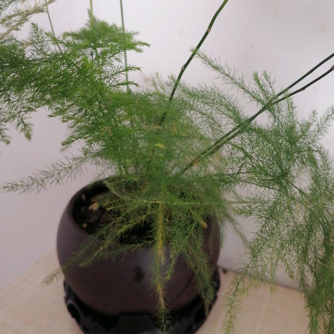 从前影像