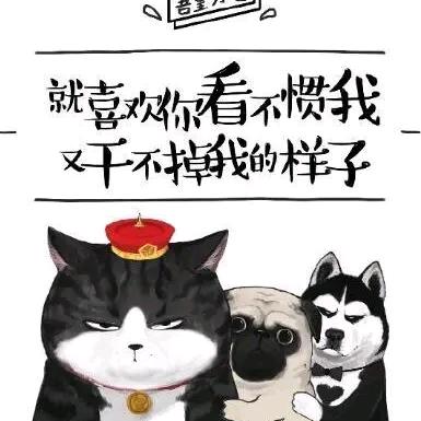 玉米宽窄行，一穴双株播种，大蒜覆膜打孔机