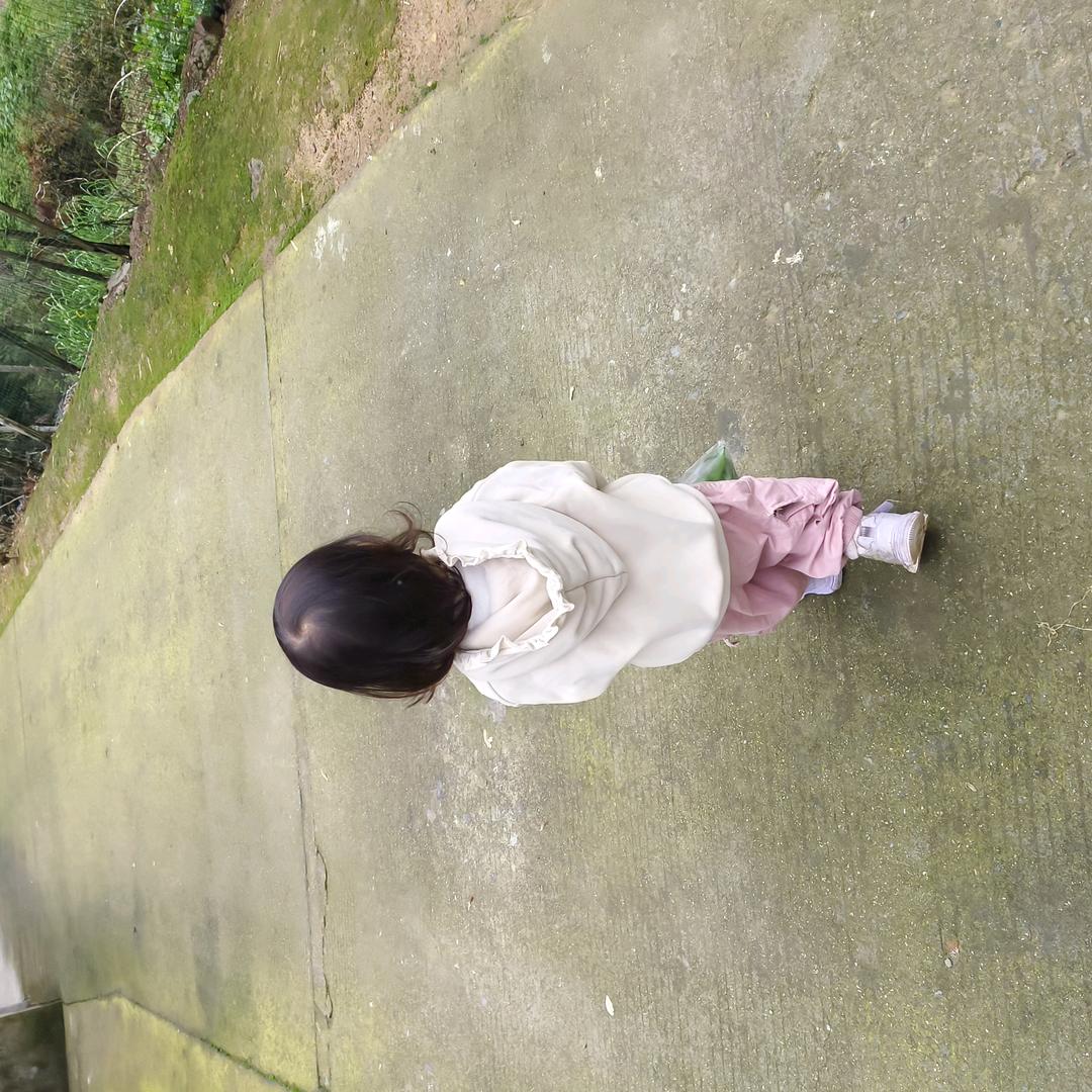 茉宝。